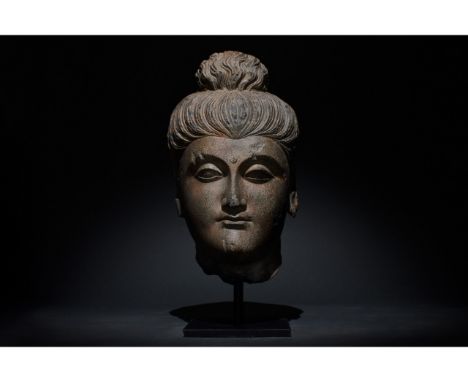 100-300 AD. Gandharan. Superb life-size schist head of Buddha, with characteristic topknot (Ushnisha) and elongated, pendular