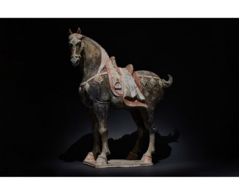 C. 618 - 907 AD. Chinese Tang Dynasty. A large and beautiful hollow-moulded terracotta horse, modelled in . a standing pose o