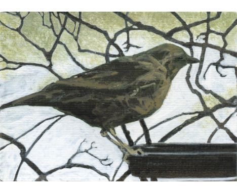 
	
		Helen Fay
		Mrs Blackbird, 2020
		Gouache and Ink on Paper
		Signed verso
		10 x 15cm (3¾ x 5¾ in.)
		
		I am a printmak