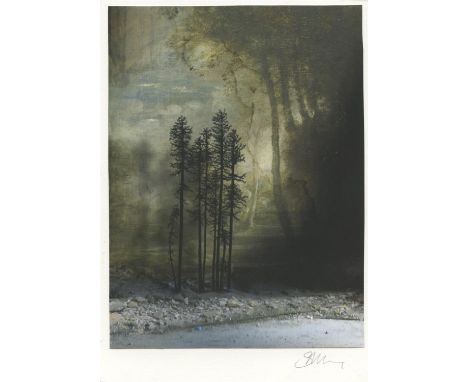 
	
		Suzanne Moxhay
		Pines, 2021
		Print Hand Finished with Gouache
		Signed verso
		15 x 10cm (5¾ x 3¾ in.)
		
		Moxhay (b.