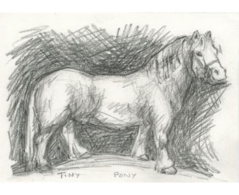
	
		Helen Fay
		Welsh Pony, 2020
		Drawing on Paper
		Signed verso
		10 x 15cm (3¾ x 5¾ in.)
		
		I am a printmaker who spec