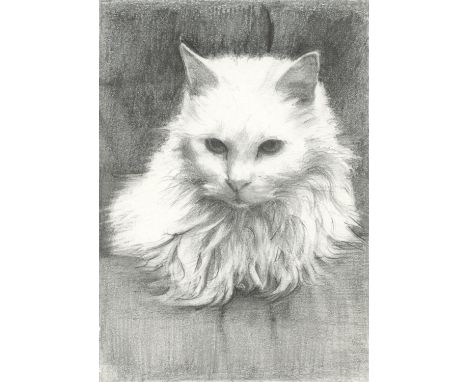 
	
		Ofelia Andrades M
		'Blanquita' Artist's Cat, 2021
		Graphite on Paper
		Signed verso
		15 x 10cm (5¾ x 3¾ in.)
		
		Ofe