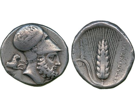 ANCIENT COINS, Greek, Lucania, Metapontum (c.340-330 BC), Silver Distater, bearded head of Leukippos facing right, wearing a 