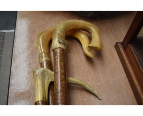 Two shepherds crooks and another walking stick with horn handles  (crooks 124cm ) stick 97cm