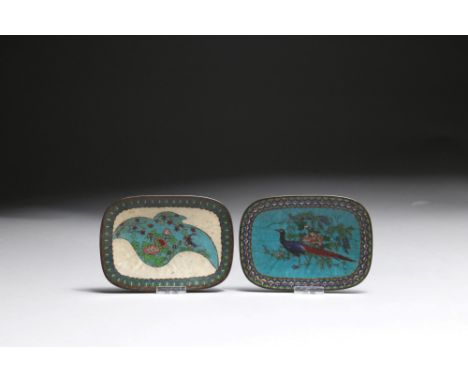 Two cloisonné enamel traysJapan, Meiji period 19th centuryDecorated with coloured enamels depicting flowers, birds and geomet