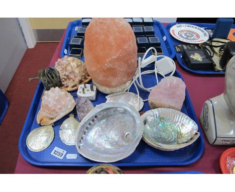 Carved Sea Shell Adapted to a Light, red mineral light, Nacre shells, etc:- One Tray