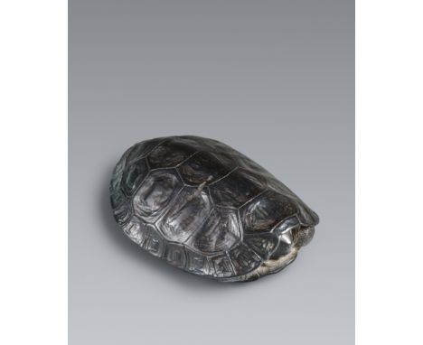 Netsuke einer großen Schildkröte. Schwarzes Holz. 19. Jh.Mit tief eingezogenem Kopf und naturalistisch ausgearbeitetem Panzer