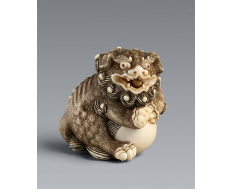 Netsuke eines Shishi mit Ball. Elfenbein. 1. Hälfte 19. Jh.Auf den Hinterbeinen sitzend und mit allen vier Pranken einen groß
