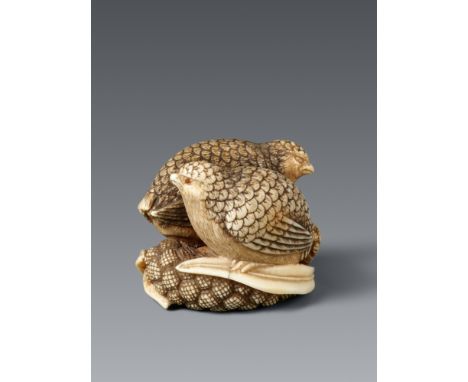 Netsuke zweier Wachteln auf Hirse. Elfenbein. Kyoto. Frühes 19. Jh.Bez. in rechteckiger Kartusche: OkatomoIn gegenläufiger Ri