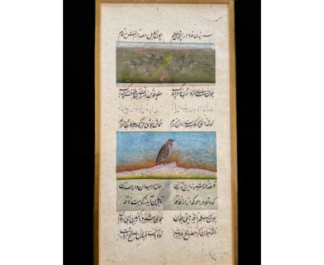 An Islamic Ornithological Illuminated Manuscript Page, probably 19th century, hand painted with parakeet, and other birds,   