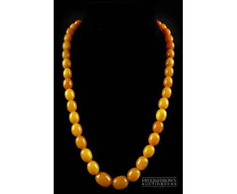 A graduated row of 42 oval shaped amber beads of light colour
