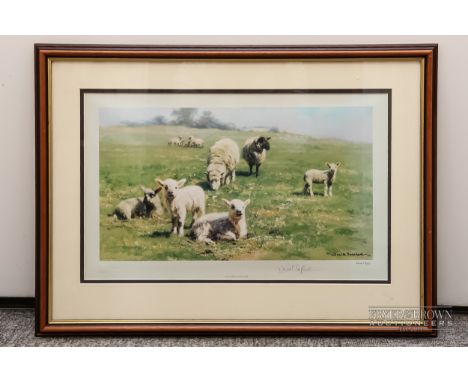 David Shepherd - 'Country Cousins', print of sheep, dated (19)84, signed in pencil to mount, numbered 664/850, 41 x 22cm