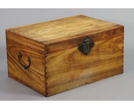 A Chinese camphor wood trunk with hinged lift lid &amp; brass side handles, 32” wide x 17¼” high x 22¼” deep.