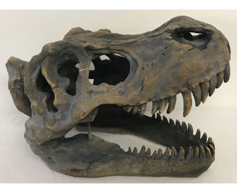 A modern ornamental T-Rex skull ornament with fixings for wall hanging.   Approx. 28cm tall x 39cm long.