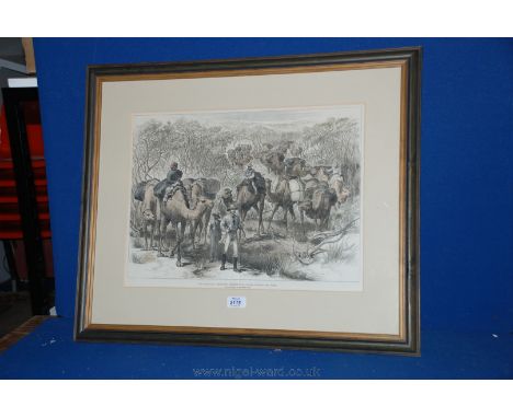 A Camel Print taken from a sketch by Mr Jesse Young entitled 'The Australian Exploring Expedition Travelling through the Scru
