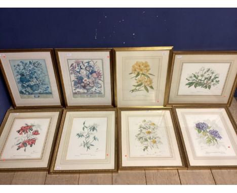 A set of six Limited Edition floral prints by Elizabeth Cameron, each signed in pencil Lower right in matching gilt glazed fr