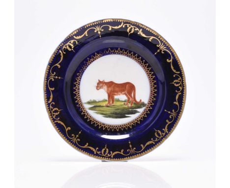 A Coalport 'Animal Service' dessert plate, circa 1805The Cougar, the dark-blue ground flanked by gilt stylised foliage, the c