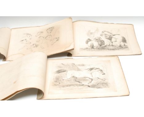 Art - Alken (Henry, illustrator) &amp; Zeitter (John Christian, Illustrator), Rudiments for Drawing The Horse, three-part set