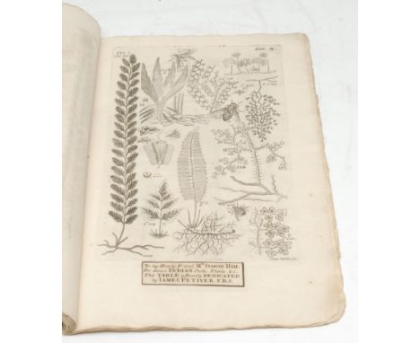 Americana, Natural History in the Enlightenment Caribbean - [Petiver (James, FRS)], Pteri-Graphia Americana, Icones continens