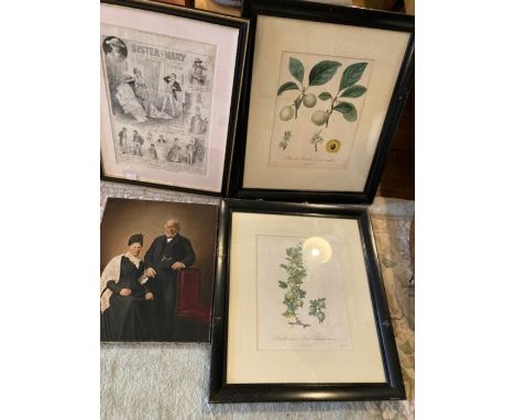 A selection of four assorted pictures, including a framed sketch of Sister Mary at the comedy, a portrait of a man & woman an