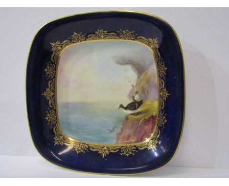 ROYAL WORCESTER, cabinet plate, gilded blue ground reserve rectangular dish painted with Guillemots indistinctly signed, 24cm