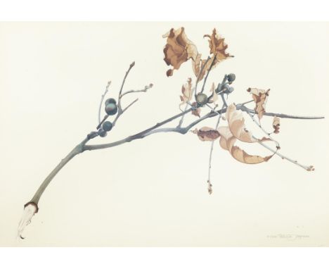 Patricia Jorgensen (b.1936)Autumn Buds Lithograph , 44 x 63cmSigned and numberd 44/500