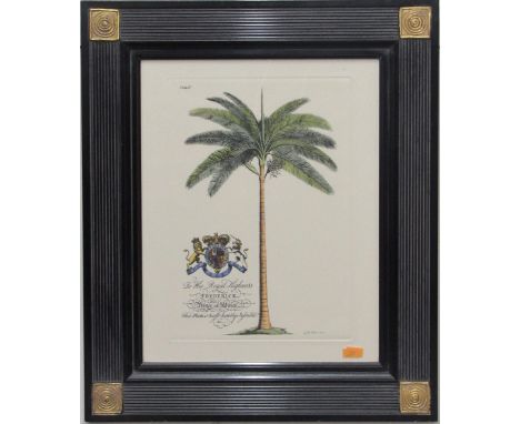 Prints: A set of 6 Botanical Prints by G.D. Ehret Delin, in attractive black and gilt frames. (6)