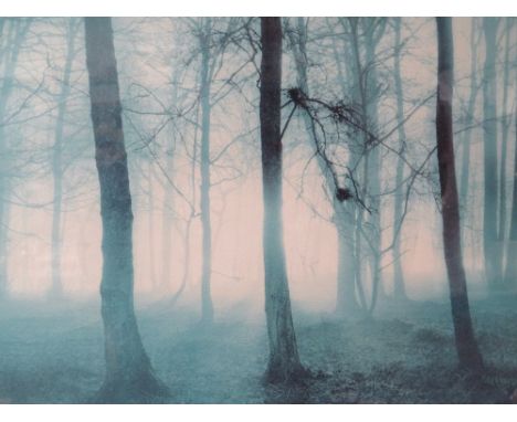 A JOHN HANSELL SIGNED PRINT OF 'WOOD NEAR RISING NORFOLK'