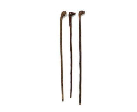 A carved wooden walking stick, the handle formed as a spaniel with glass eyes, 90cm long, together with two similar examples 