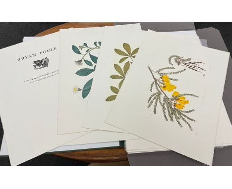 Bryan Poole (1953-2022) New Zealand Native Botanicals A folio of ten hand-coloured aquatint etchings, limited edition number 
