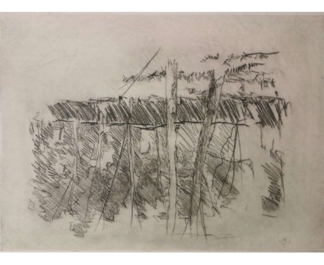 Georg BASELITZ (1938), Birken II (1972), Radierung, Ed. 7/52, Maße: ca. 35,6 x 48,8 cm, signiert und datiert. Vgl. Reinhardt 