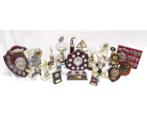 LARGE SELECTION OF PUB SPORTING TROPHIES AND SHIELDSto include snooker, pool, darts, cribbage and dominoes (From Port Sunshin