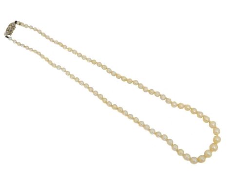 A cultured pearl necklace, A cultured pearl necklace, the graduated single strand with a vari cut diamond push piece clasp, l