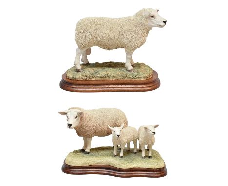 Border Fine Arts 'Texel Ram' (Style Two), model No. B0530, limited edition 692/1500; and 'Texel Ewe and Lambs' (Style Two), m