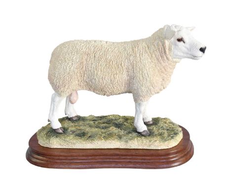 Border Fine Arts 'Texel Ram' (Style Two), model No. B0530 by Jack Crewdson, limited edition 53/1500, on wood base, with box a