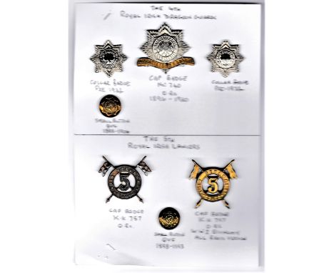 The 4th Royal Irish Dragoon Guards and 5th Royal Irish Lancers Including; 4th Royal Irish D.G. Other Ranks Cap Badge and Coll