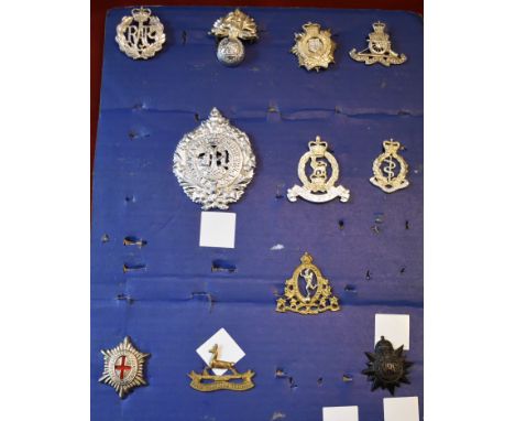 British and Commonwealth Cap Badges on a board (11) including many staybrights; RAF, Royal Ordnance Corps, Royal Artillery, R