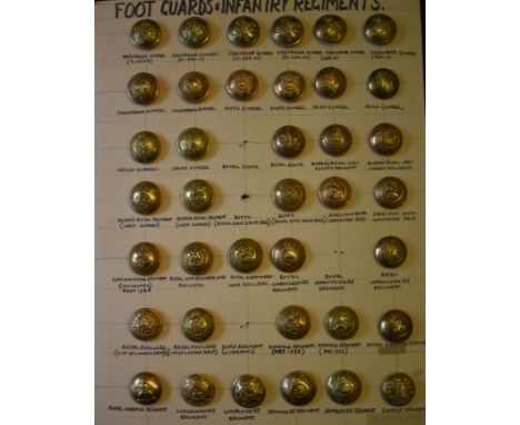 British Foot Guards and Infantry Regiment Button (38) including: Grenadier Guards, Coldstream Guards, Queen's Royal West Surr