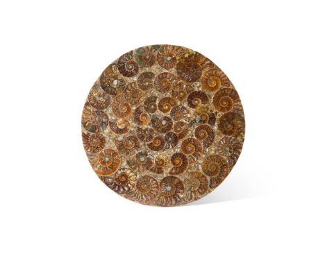 AMMONITE PLATE  MADAGASCAR, JURASSIC PERIOD, 180 MILLION YEARS BP cut and polished, formed of many individual ammonites, pres