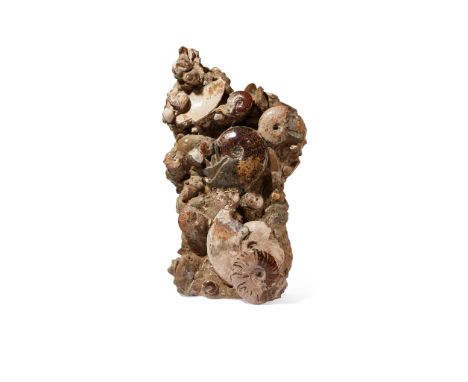 CLEONICERAS AMMONITE CLUSTER MADAGASCAR., LOWER CRETACEOUS PERIOD, 110 MILLION YEARS BP a fine multi specimen block of polish