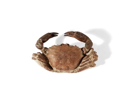 ARCHAEOGERYON CRAB FOSSIL ARGENTINA, MIOCENE PERIOD, 20 MILLION YEARS BP a fine example, fully three dimensional (Dimensions: