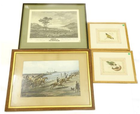 After Fisher. A view of Carlingford Harbour and Warren Point, 41cm x 54cm, a hunting print, and two book plates Crossbill, Si