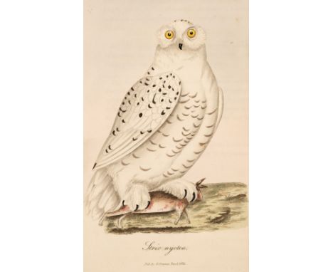 Graves (George). British Ornithology: Being the history, with a coloured representation of every known species, 3 volumes, 2n