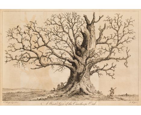 Evelyn (John). Silva: or, A Discourse of Forest-Trees, and the Propagation of Timber in his Majesty's Dominions: as it was de
