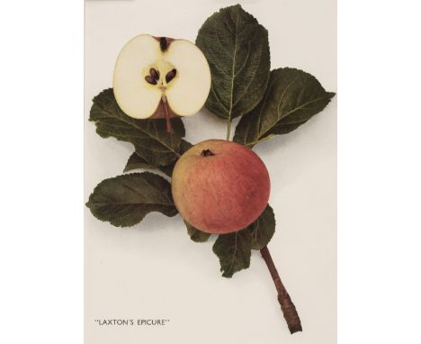 * Botany. A collection of approximately 110 prints, late 19th &amp; early 20th century, colour lithographs and photolithograp