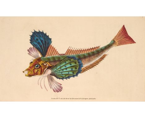 Donovan (Edward). The Natural History of British Fishes, including scientific and general descriptions of the most interestin