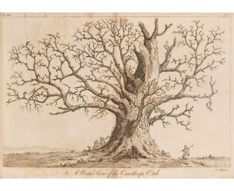 Evelyn (John). Silva: or, a Discourse of Forest-Trees and the Propagation of Timber in His Majesty's Dominions, 2 volumes, 5t