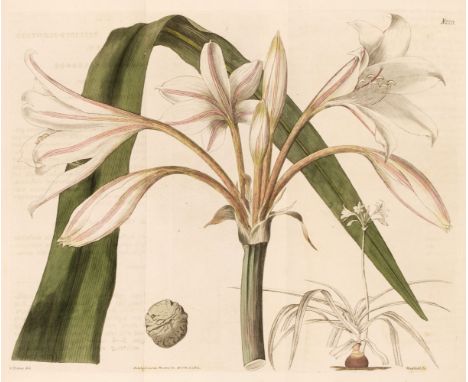 Curtis (William). The Botanical Magazine or Flower-Garden Displayed, 6 volumes (plus an index), London: Couchman, 1810-28, nu