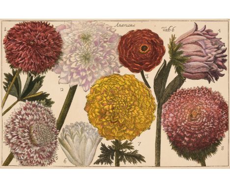 * Arena (Filippo, 1708-1789). A collection of 36 Botanical Engravings, Palermo: Angelo Felicella, 1767, 36 hand-coloured engr