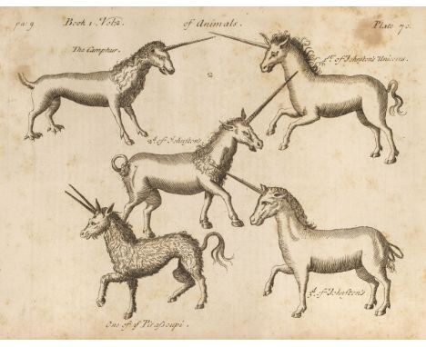Pomet (Pierre). A Complete History of Drugs written in French by Monsieur Pomet, Chief Druggist to the late French King Lewis